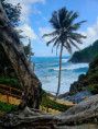 /album/fotogaleria-karibik-island-hopping-zajazd-vy-a-my/tobago-barbados-st-lucia-dominica-1-jpg1/